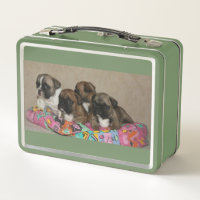 Coussin bouledogues français Bulldogue français