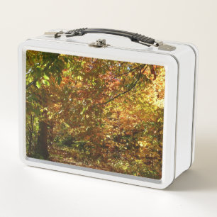 Lunch Box Couvert de feuilles d'automne II Photographie d'au
