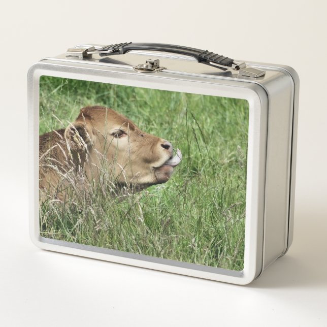 Lunch Box COW Cute (Devant)