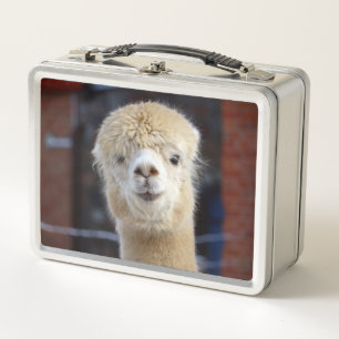 Lunch Box Cute Alpaca face