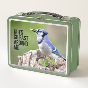 Lunch Box Cute Bleu Jay Songbird sur Treestump