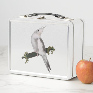 Lunch Box Cute Lutino Cockatiel Bird Ivy Perch Animal