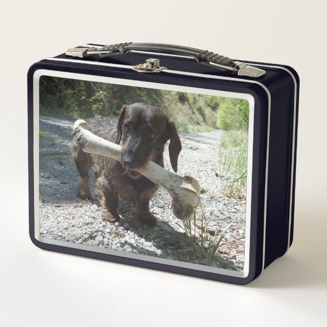 Lunch Box Dachshund (Devant)