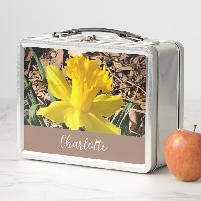 Lunch Box Daffodile de printemps jaune dans le jardin Nom pe (En situation)