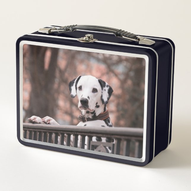 Lunch Box Dalmatien (Devant)