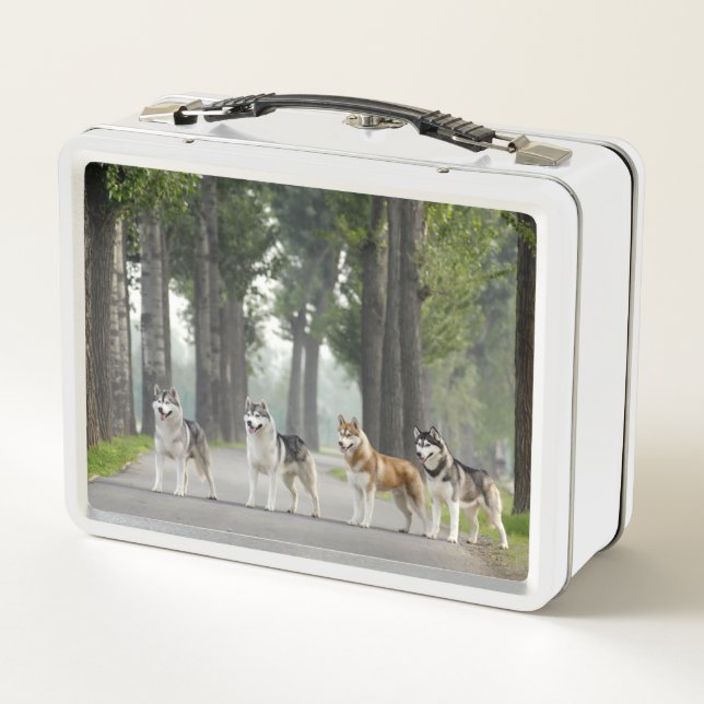 Lunch Box De beaux chiens Husky sur un sentier naturel (Dos)