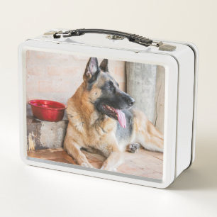 Lunch Box Déchets Allemands Reposés Par Le Bassin D'Eau