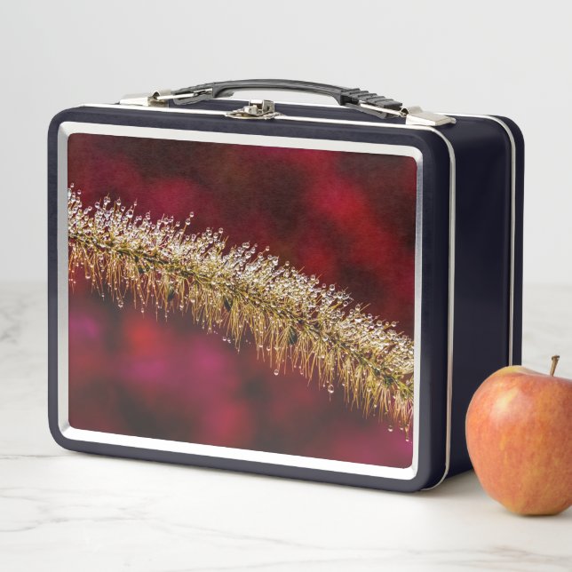 Lunch Box Dew du matin (En situation)