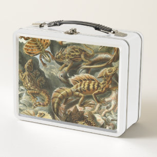 Lunch Box Ernst Haeckel, ancienne illustration de mode Lacer