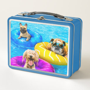 Lunch Box Fête au bassin pour chiens