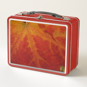 Lunch Box Feuille d'érable rouge Abstraite Automne Photograp