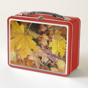 Lunch Box Feuilles de Érable Tombées Jaune Automne Nature