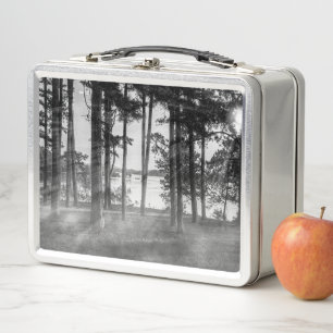 Lunch Box Foggy Arbres À Niveaux De Gris De Table Rock
