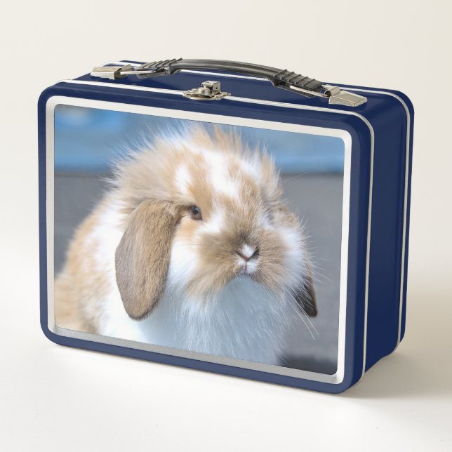 Lunch Box Fuzzy Holland Mini Dwarf Lop Bunny Rabbit (Devant)