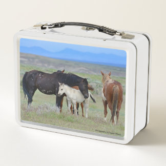 Lunch Box Gamelle de mustang