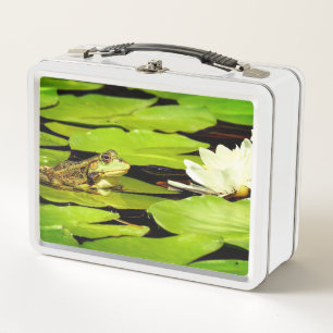 Lunch Box Grenouille