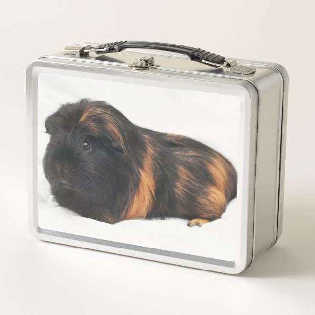 Lunch Box Guinea Pig (Devant)