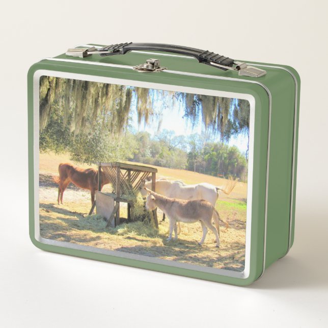 Lunch Box Heure du déjeuner des chevaux et des ânes  (Devant)