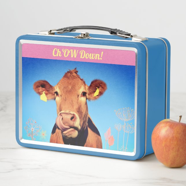 Lunch Box Heure du déjeuner Humour Métal Boîte à lunch (En situation)