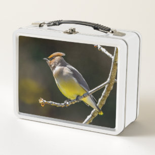 Lunch Box Jaseur d'Amérique Passereau Photo d'Oiseau Sauvage