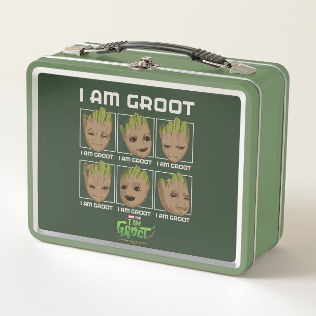 Lunch Box Je Suis Groot Moods (Devant)