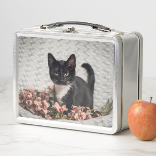 Lunch Box Joli Rose Bella