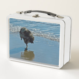 Lunch Box Keeshond Ballet Photographie - Joli chien d'origin