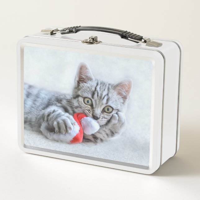 Lunch Box Kitten (Devant)
