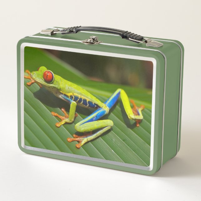 Lunch Box La grenouille longue (Devant)