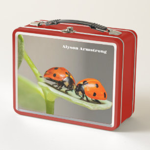 Lunch Box Lady Bugs