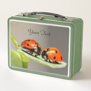 Lunch Box Ladybugs Beetles Boîte à lunch en métal