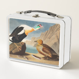 Lunch Box Le canard roi Eider des oiseaux d'Amérique (Audubo