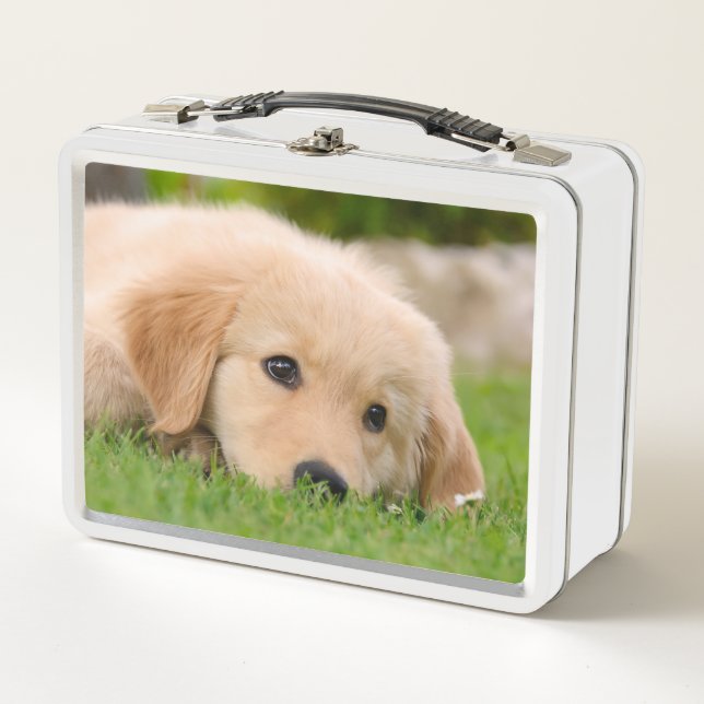 Lunch Box Le chiot mignon de golden retriever rêve la photo (Devant)