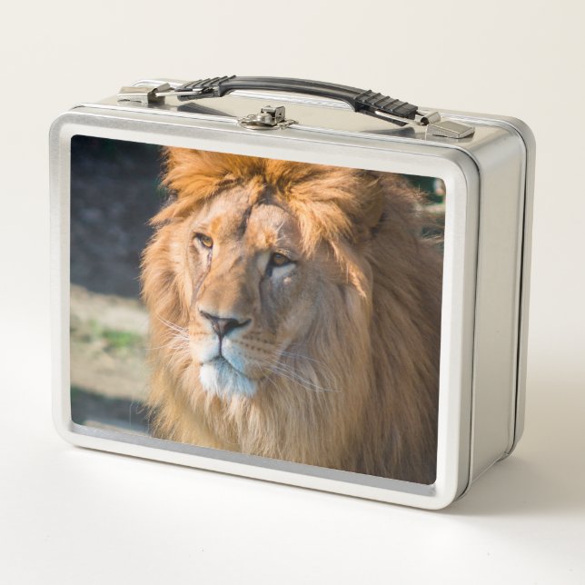 Lunch Box Lion 013 (Devant)