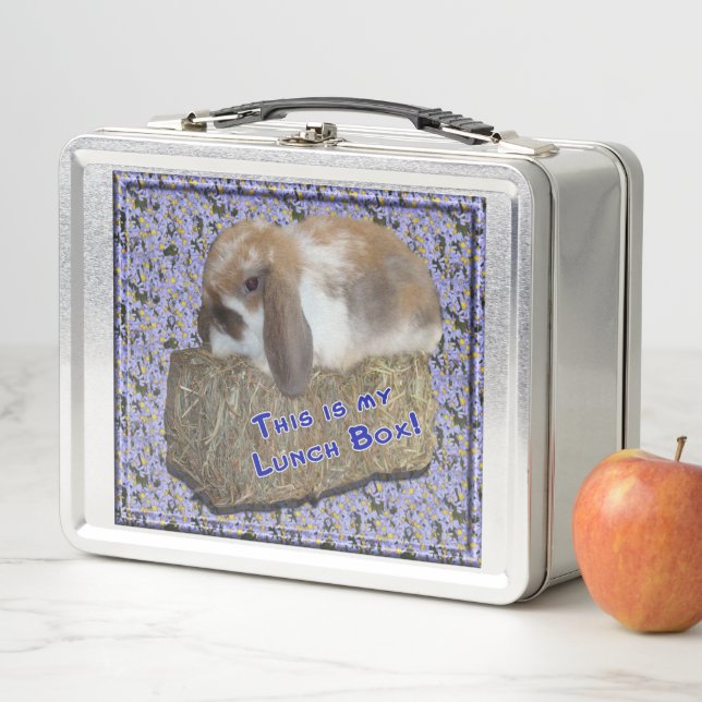 Lunch Box Lop Bunny sur Hay Bale (En situation)