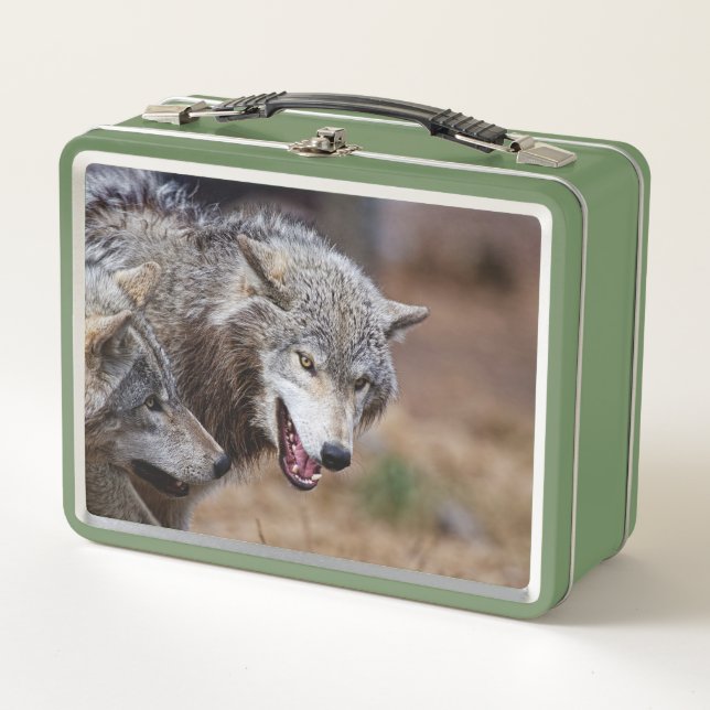 Lunch Box Loups gris (Devant)
