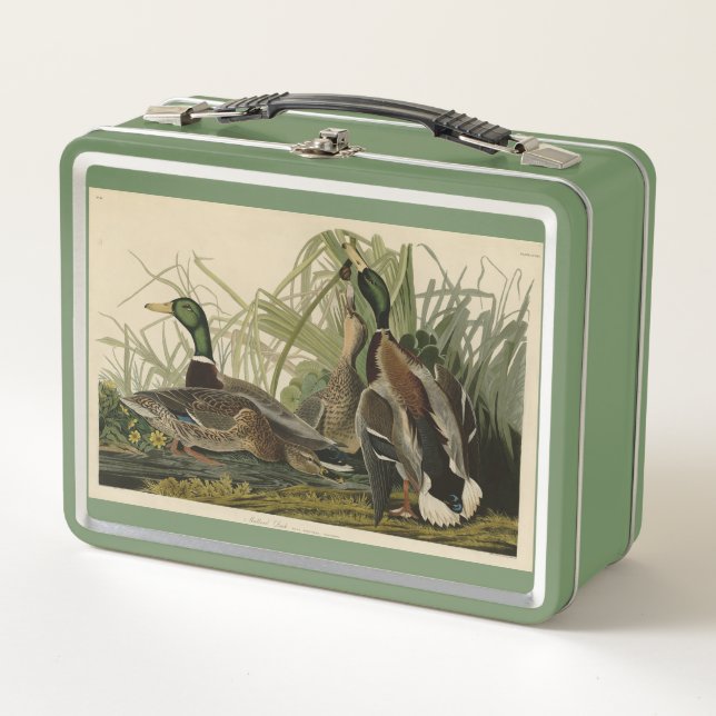 Lunch Box Mallard Duck from Audubon's Birds of America (Devant)