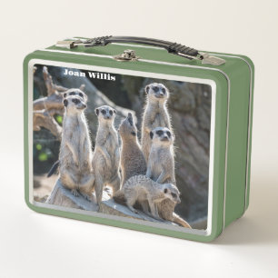 Lunch Box Meerkats