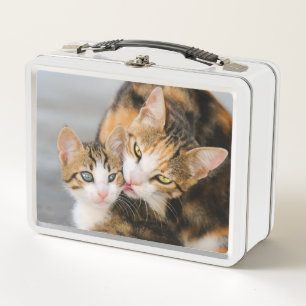 Lunch Box Mère Chat aime les mignons Bébé Kitten Animal A