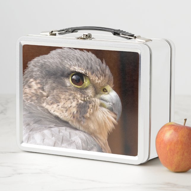 LUNCH BOX MERLIN FALCON OISEAU DE PREY (En situation)
