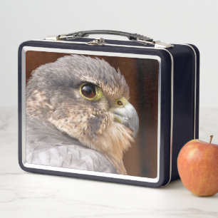 LUNCH BOX MERLIN FALCON OISEAU DE PREY