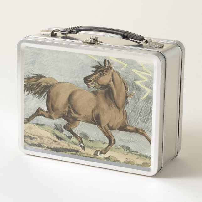 Lunch Box mignonette amateurs de chevaux vintages (Devant)