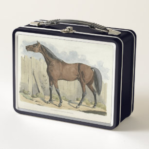 Lunch Box mignonette amateurs de chevaux vintages
