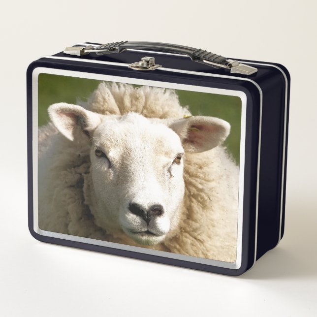 LUNCH BOX MOQUETTE (Devant)
