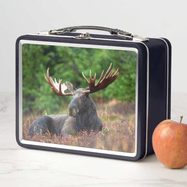 Lunch Box Oie (En situation)