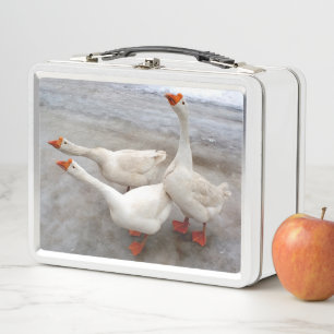 Lunch Box Oie blanche