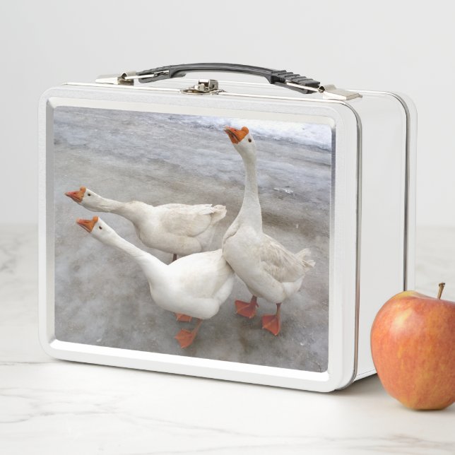Lunch Box Oie blanche (En situation)