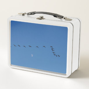 Lunch Box oies canadiennes en vol