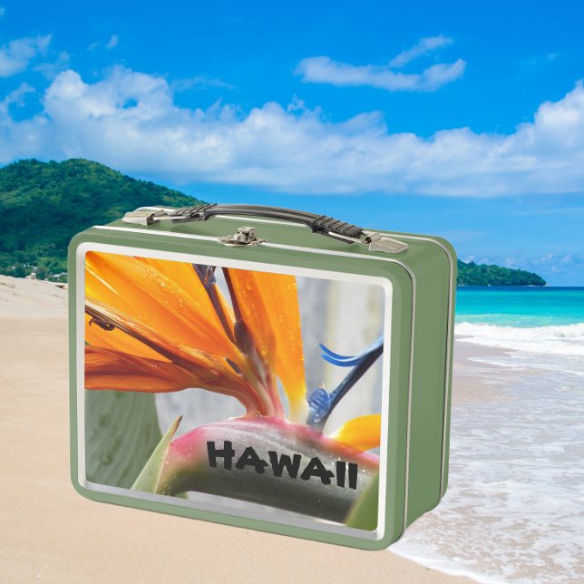 Lunch Box Oiseau du Paradis Fleur Plante Hawaï (In Situ Beach)