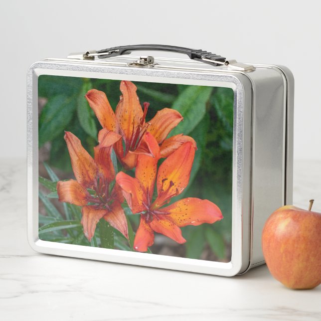 Lunch Box Orange Daylily Canadian Flower Photography (En situation)